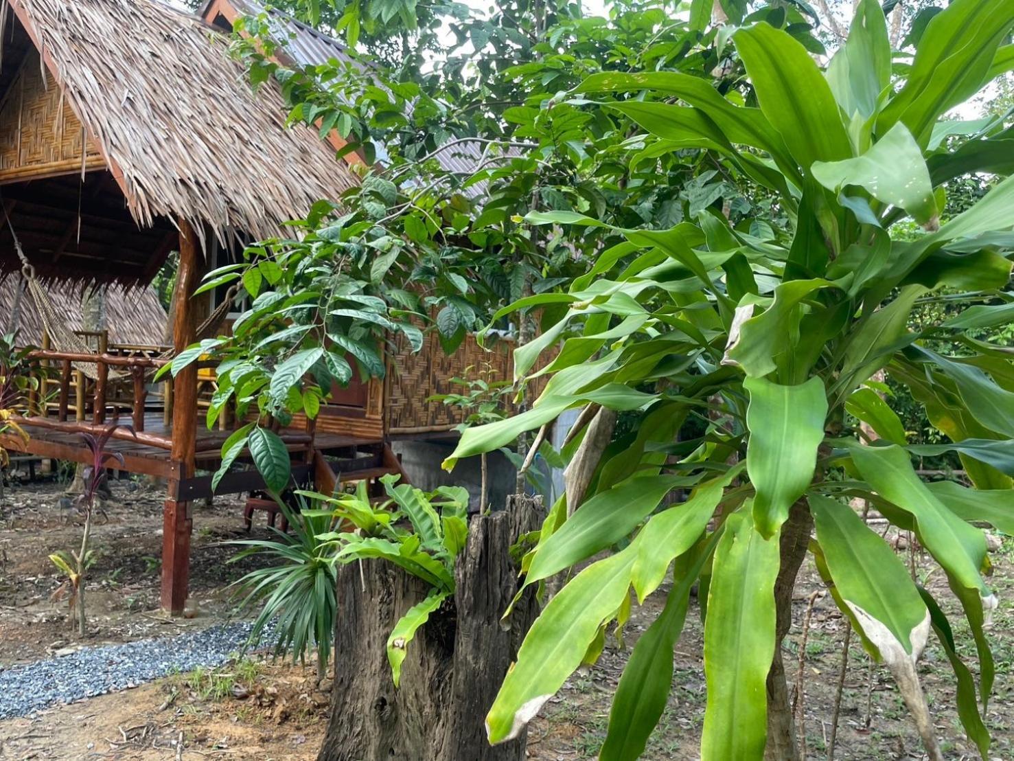 Apartament Dahla Lanta Hut Ko Lanta Zewnętrze zdjęcie